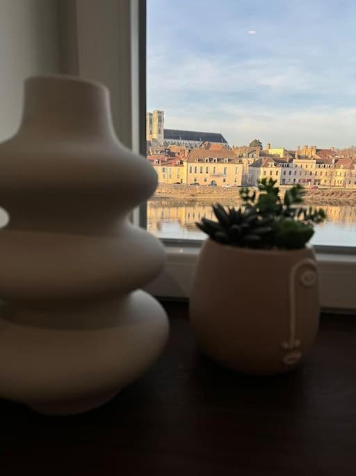 Appartement Avec Magnifique Vue Sur La Saone Et Son Balcon Chalon-sur-Saône Buitenkant foto